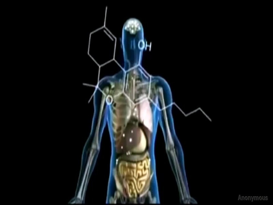 Anonymous-Message to Shaukat Khanum Memorial Cancer Hospital & Research Center of Pakistan (Cure of Cancer)(2016)