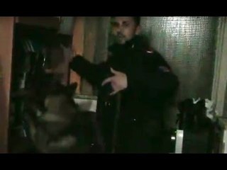Caserta - Droga ed estorsioni, smantellati tre gruppi criminali (18.02.16)