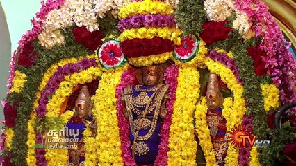 Pongal Special Sooriya Bhagavan Dharisanam | Dt 15 01 16 | Sun TV