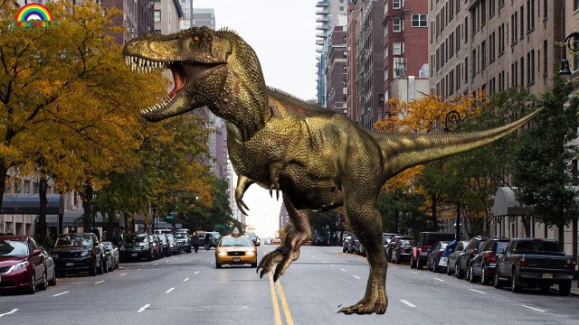 3D Hulk Vs Crazy Dinosaurs Finger Family Songs / Finger Family Nursery Rhymes For Children's