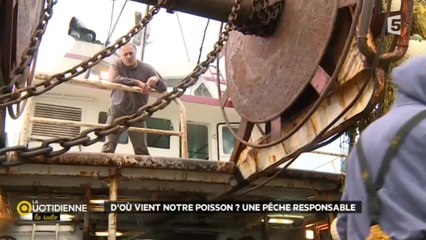 D'où vient notre poisson ? Une pêche responsable