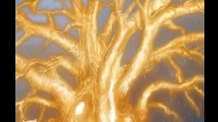 국내카지노ち＼＼【KOP77。COM】＼＼こ바카라추천사이트마이크로게임