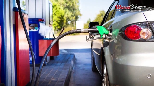 Есть ли Толк от Конопли-