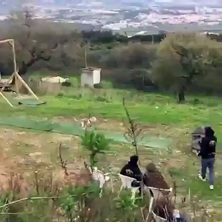 uçan pit bull