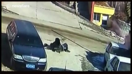 62-year-old man fights off huge dog using martial arts in China
