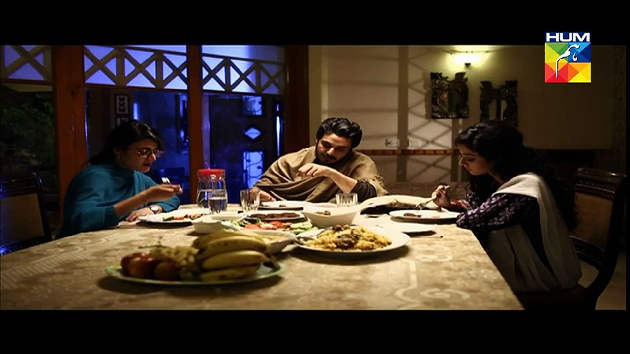 Preet Na Kariyo Koi Episode 17 HUM TV