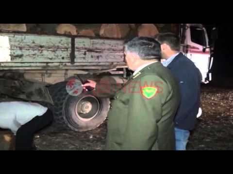 Në Shkodër nis inventarizimi i subjekteve shfrytëzuese të pyjeve- Ora News- Lajmi i fundit-