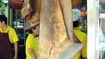 Les Requins Baleines des Galapagos documentaire complet en français New 2014