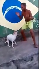 Funny boy dancing with his dog.