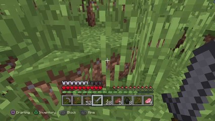 Minecraft: PlayStation®4 Edition_20160218102116