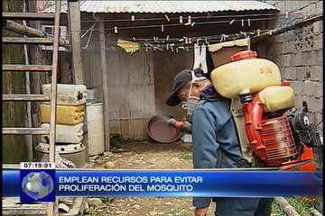 Trabajo conjunto para combatir mosquito transmisor del Zika