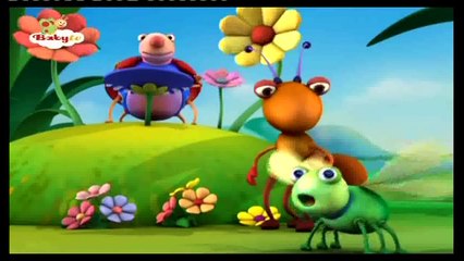 BABYTV BIG BUGS BAND Bambú Rap