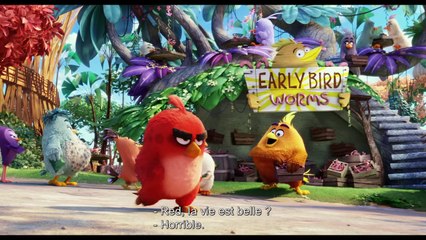 ANGRY BIRDS EN 3D - Bande-annonce2 VO