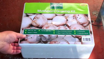 How to grow MUSHROOMS