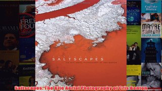 Download PDF  Saltscapes The Kite Aerial Photography of Cris Benton FULL FREE