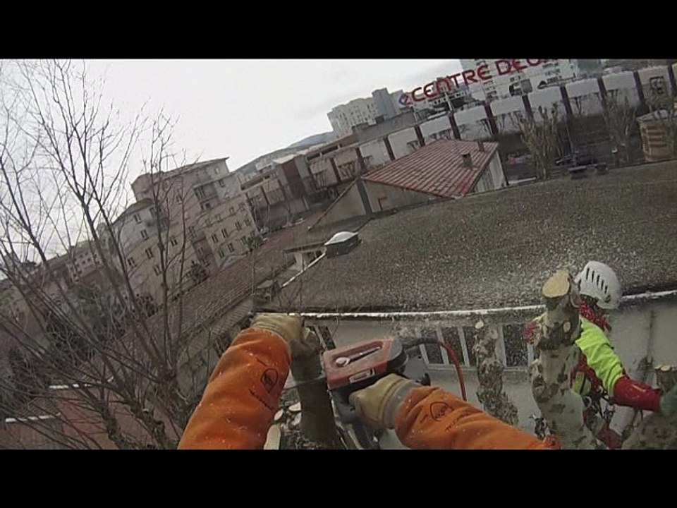 [Arboriste] Arboriste Grimpeur, métier d'adresse !