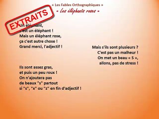 Vidéo de présentation FO Les éléphants roses