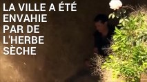 Une ville noyée sous une masse d'herbes sèches