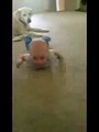 Puppy Teaches Baby To Crawl