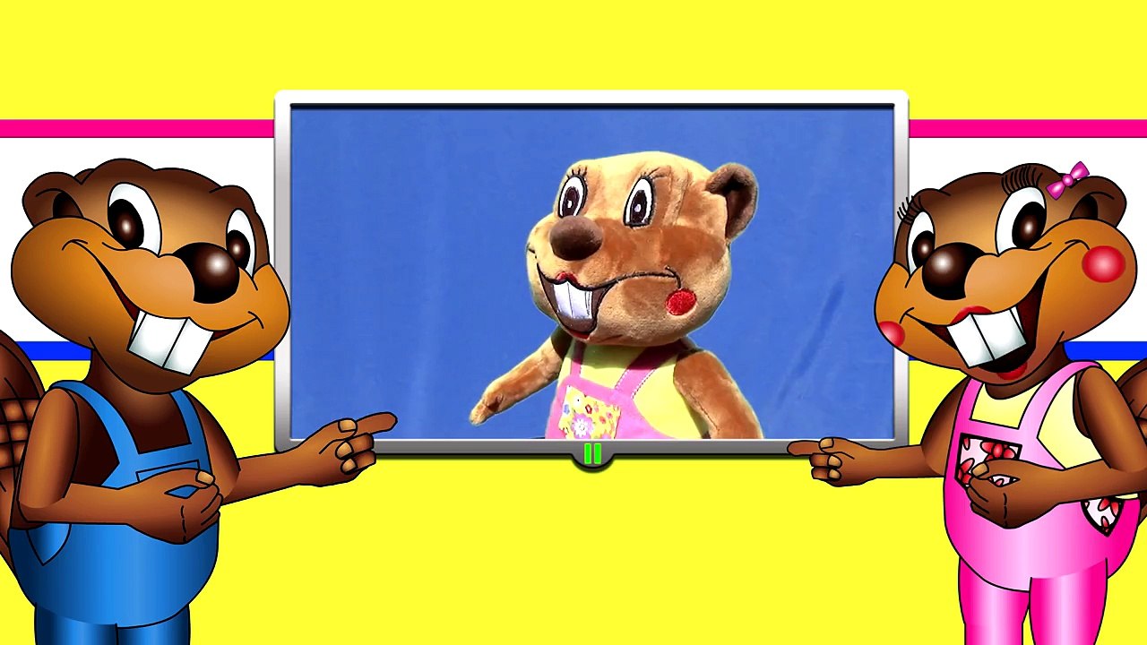 Counting to 30 Collection | 3D Animation, Preschool, Kids Learn How to Count, 70 Min Compilation