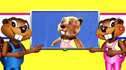 Counting to 30 Collection | 3D Animation, Preschool, Kids Learn How to Count, 70 Min Compilation