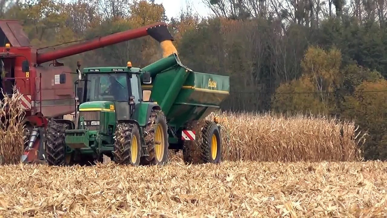CASE IH Axial 2388 et 1680 à la moisson du maïs dans la Marne