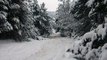 subaru forester off road in snow , forester off road in snow , foresteri tovlshi