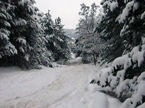 subaru forester off road in snow , forester off road in snow , foresteri tovlshi