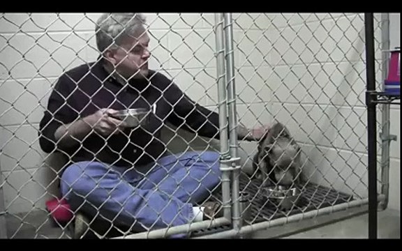 Un vétérinaire mange dans une cage avec un chien craintif
