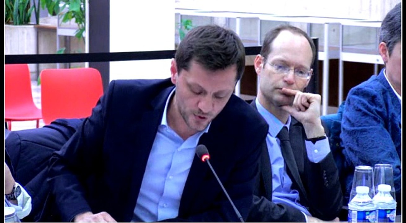 Conseil de Fontenay - Suppression du permis de démolir