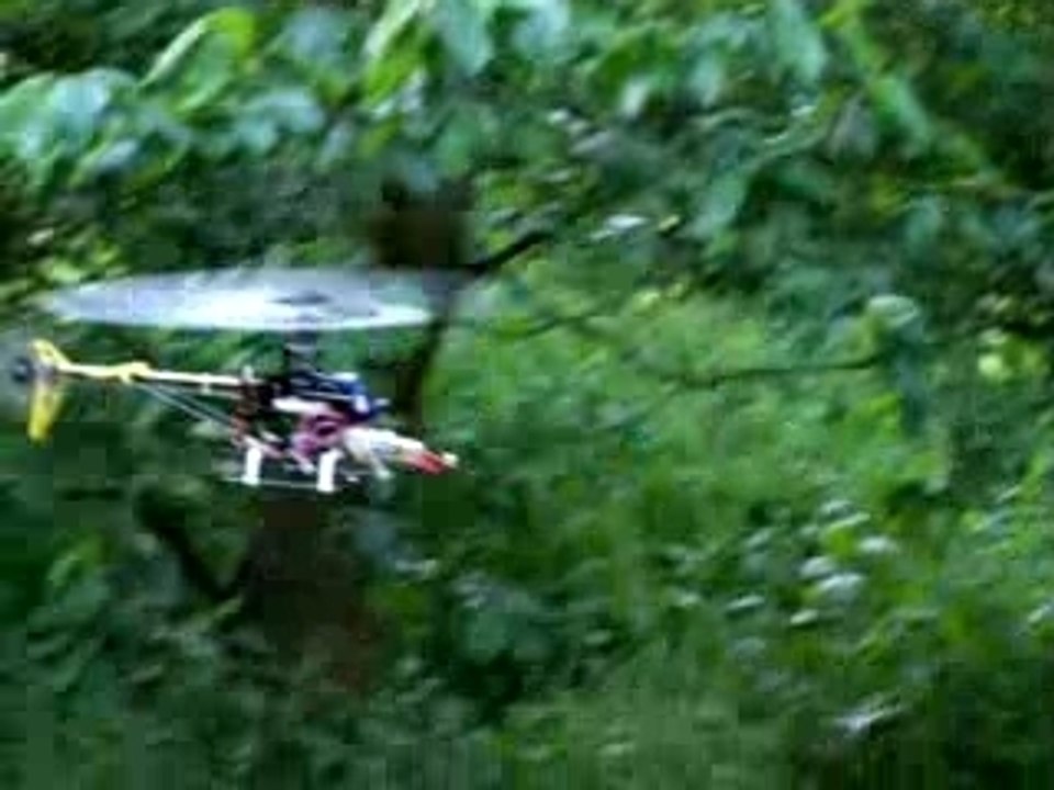 test ark X-400