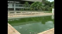 RJ: Piscinas abandonadas se transformam em criadouros do Aedes Aegypti
