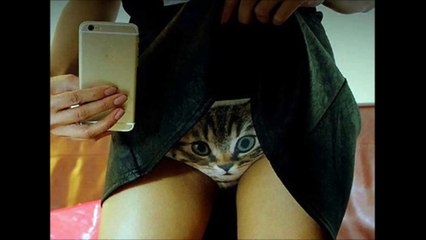 La culotte avec un chat imprimé dessus
