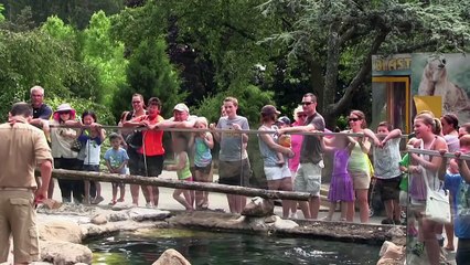 Zoo Prank | Impractical Jokers