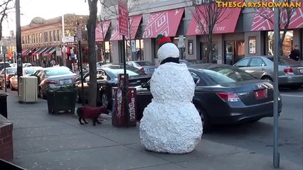 Scary Snowman Puppy Dog Scare Prank Compilation