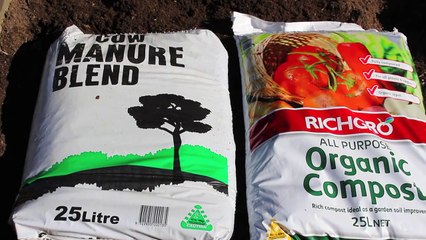 How to prepare a raised garden bed for planting