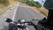Quand un motard passe très près d'un ours qui traverse