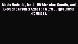 [PDF] Music Marketing for the DIY Musician: Creating and Executing a Plan of Attack on a Low