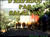 akfadou sur la route de kabylie