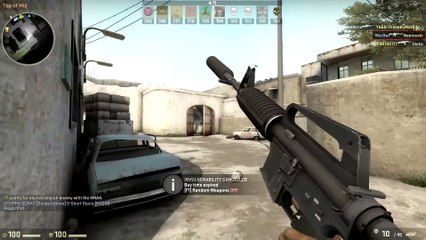 Should I Use M4A4 or M4A1-S  CS  GO