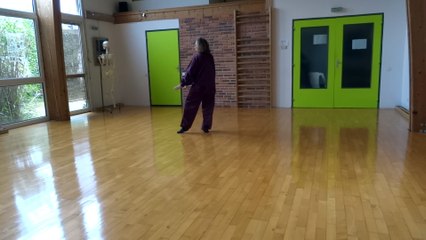 shi san shi yangjia michuan taichichuan