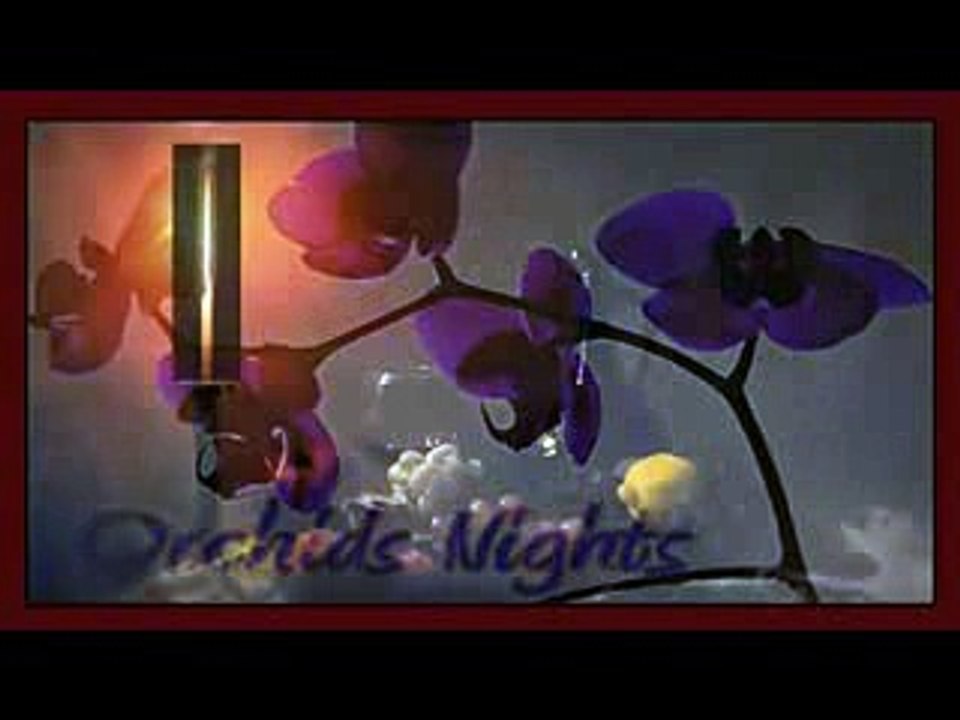از جیپسی کینگ  Amor Mio  آهنگ