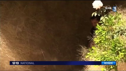 Australie : une invasion d'herbes sèches dans un village