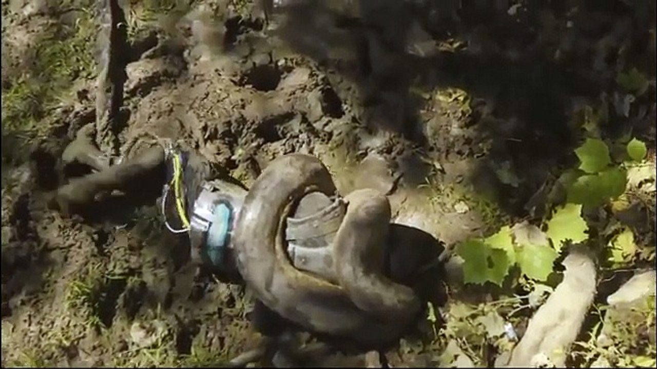 How Anaconda tries to eat man alive discovery channel