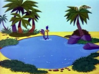 Wile E. Coyote – Chaser on the Rocks