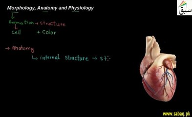 Biology Class 9Th, CH1, Lec3:Morphology Anatomy and Physiology Elearning.pk