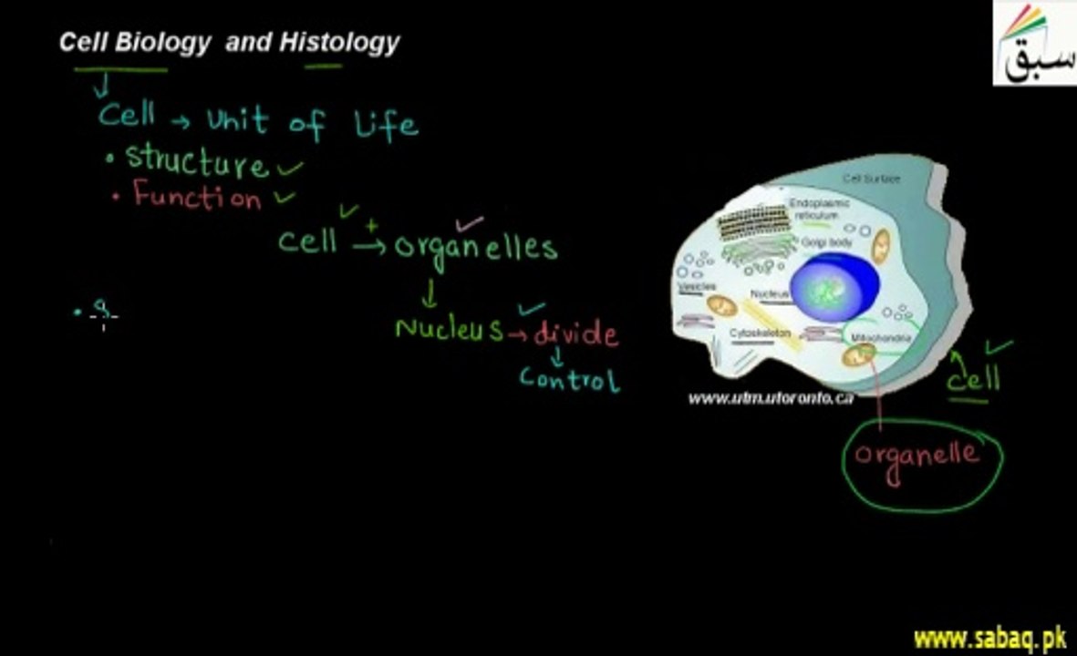 Biology Class 9Th, Chapter Number 4, Lecture 4:Histology Cell biology Elearning.pk