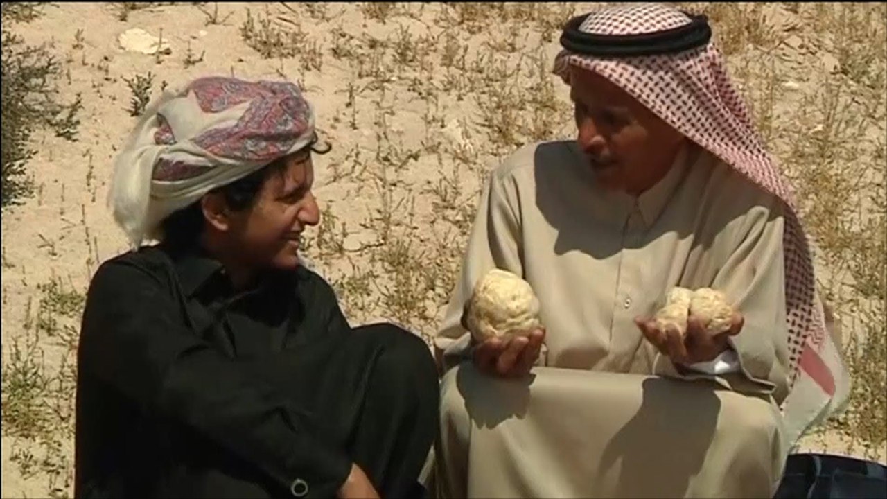 الكمأة.. نوع من الفطر له فوائد صحية