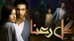 Gul E Rana Full OST - Hum TV Drama - Full Titel Song With HD VEDIO