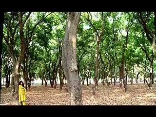 Jo Chaley To Jaan Se Guzar Gaye Title Song Geo-TV -OST FULL SONG WITH HD VEDIO